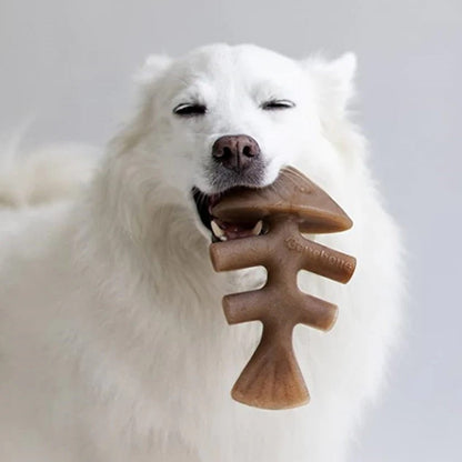 A dog with a fish-shaped carcass dog chew toy in its mouth
