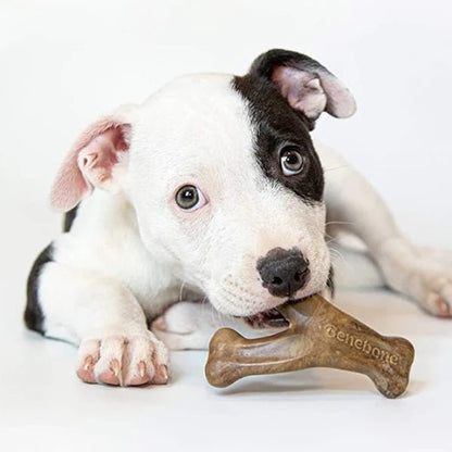 A dog with a wishbone-shaped dog chew toy in its mouth