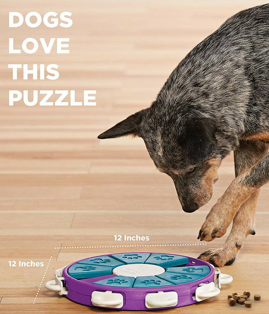 A dog playing with a round dog treat puzzle with nine slots is used to hide dog treats.