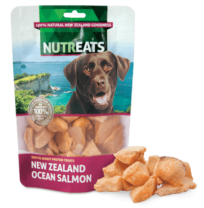Nutreats Freeze-dried Ocean Salmon Bites Dog Treats