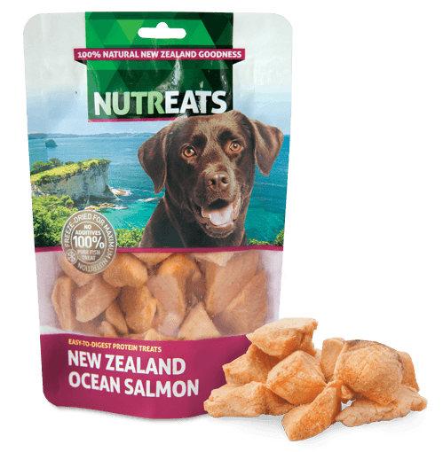 Nutreats Freeze-dried Ocean Salmon Bites Dog Treats