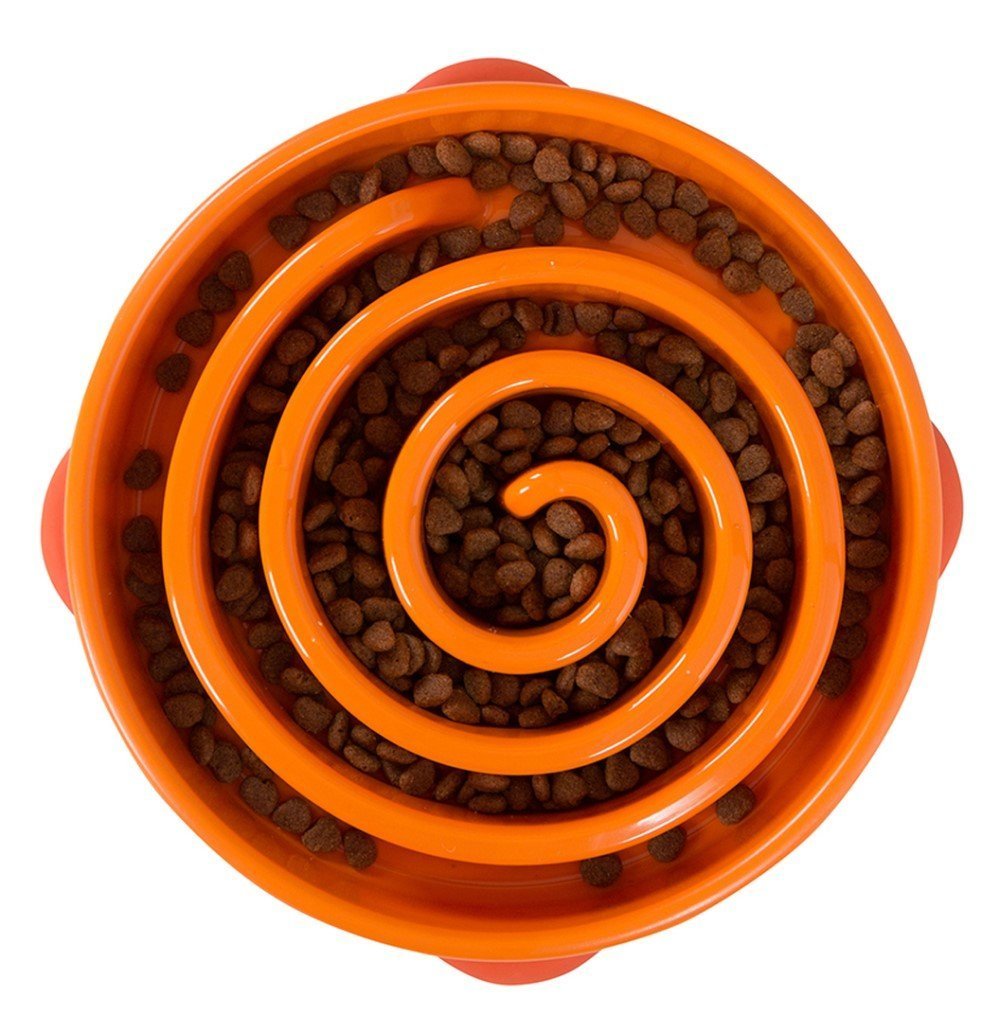 An orange round slow feeder dog bowl